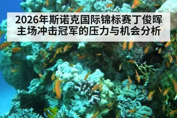2026年斯诺克国际锦标赛丁俊晖主场冲击冠军的压力与机会分析