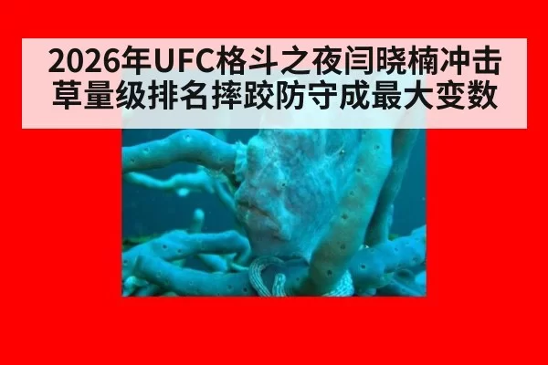 2026年UFC格斗之夜闫晓楠冲击草量级排名摔跤防守成最大变数